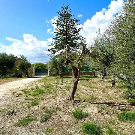 Nei Pressi Del Faro Di